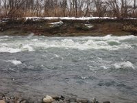 picture (68)